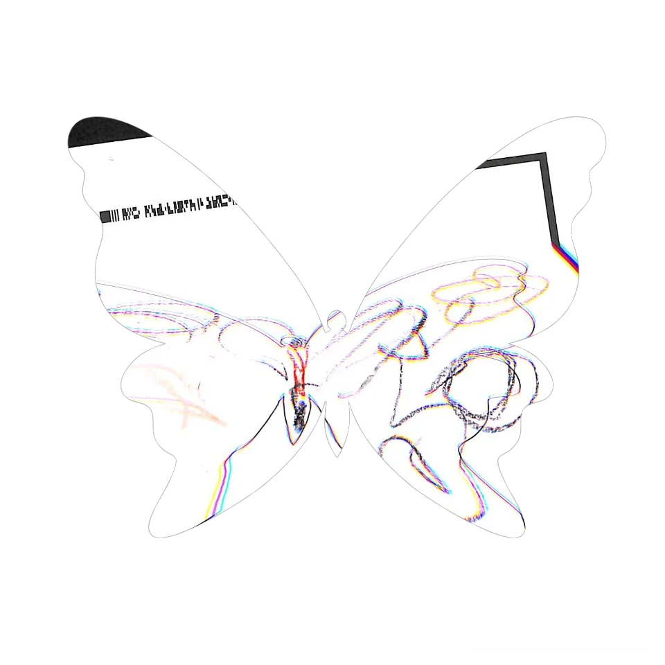 Original Butterfly Image
