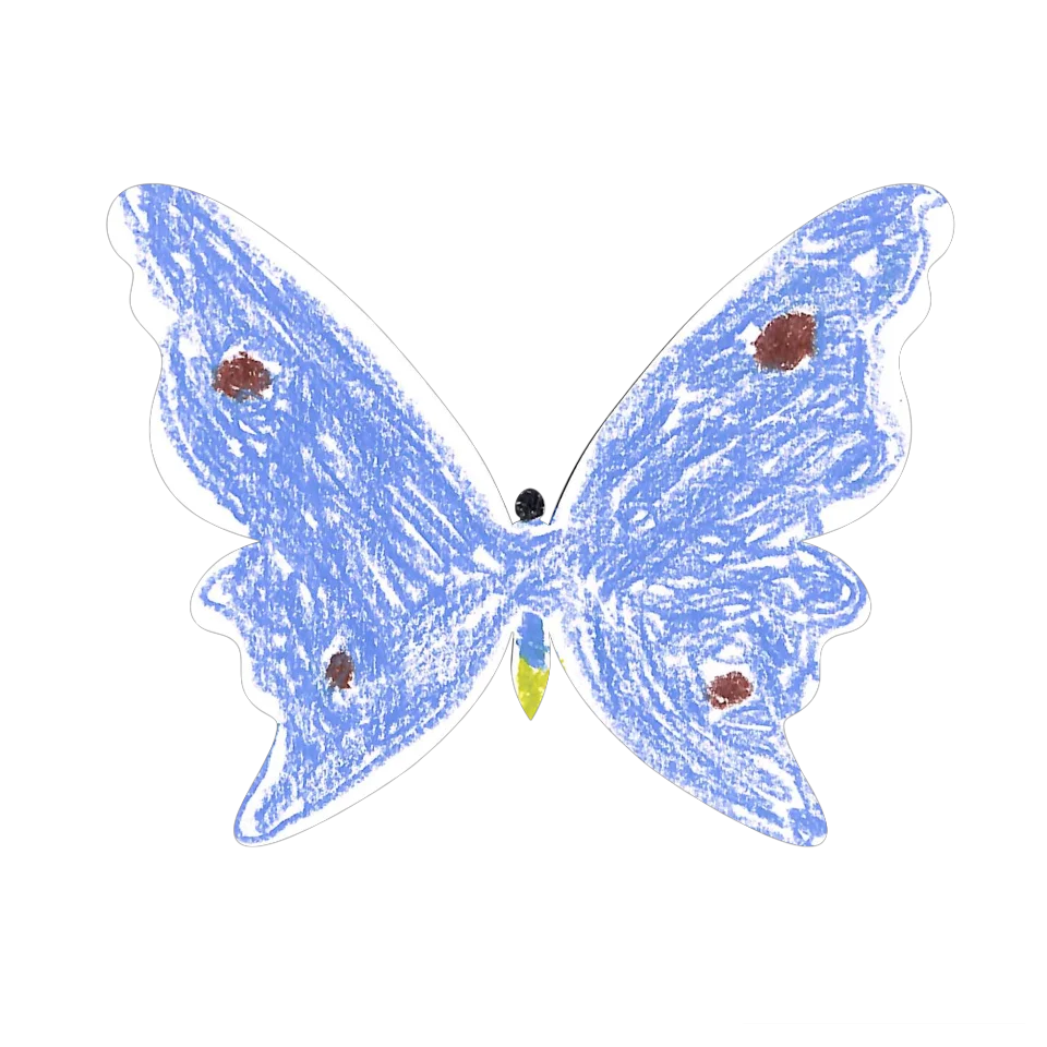 Original Butterfly Image