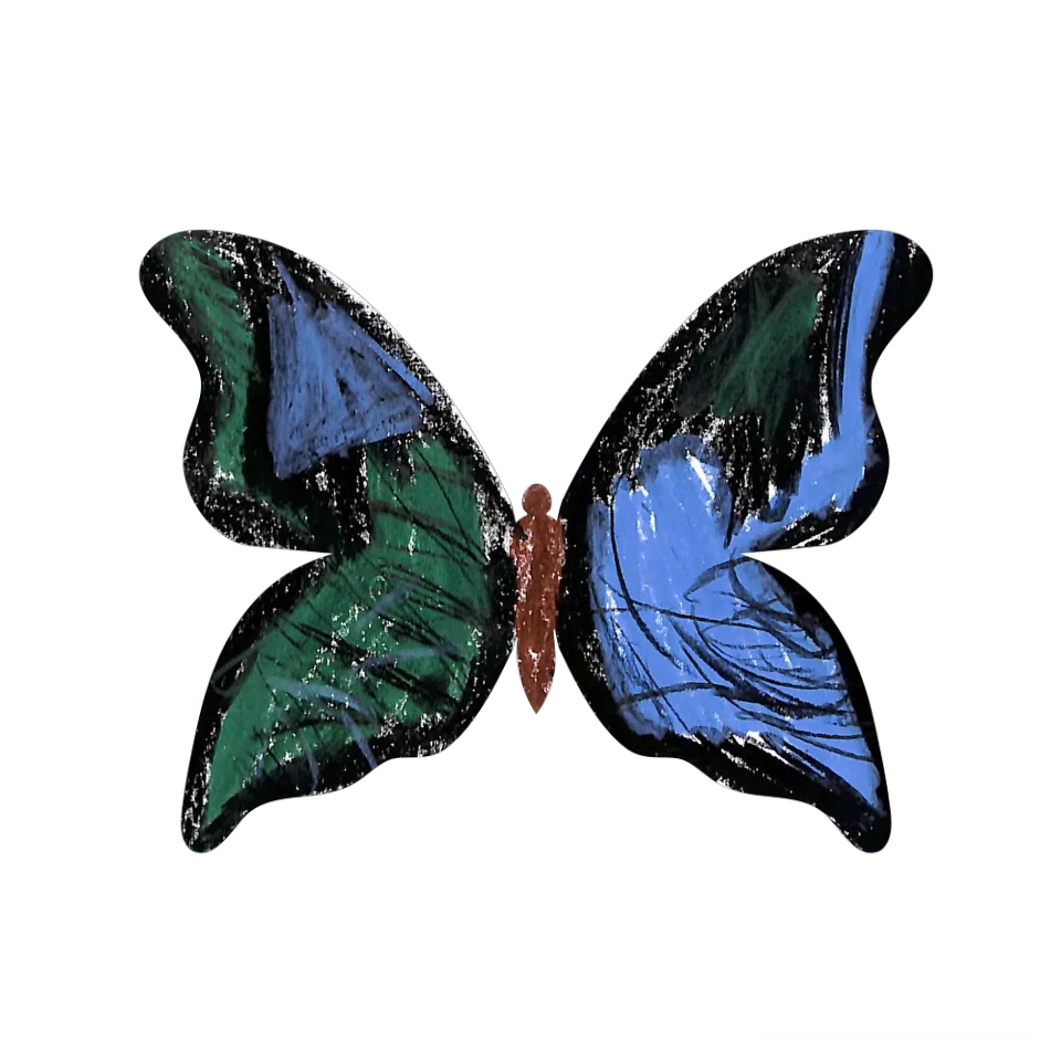 Original Butterfly Image