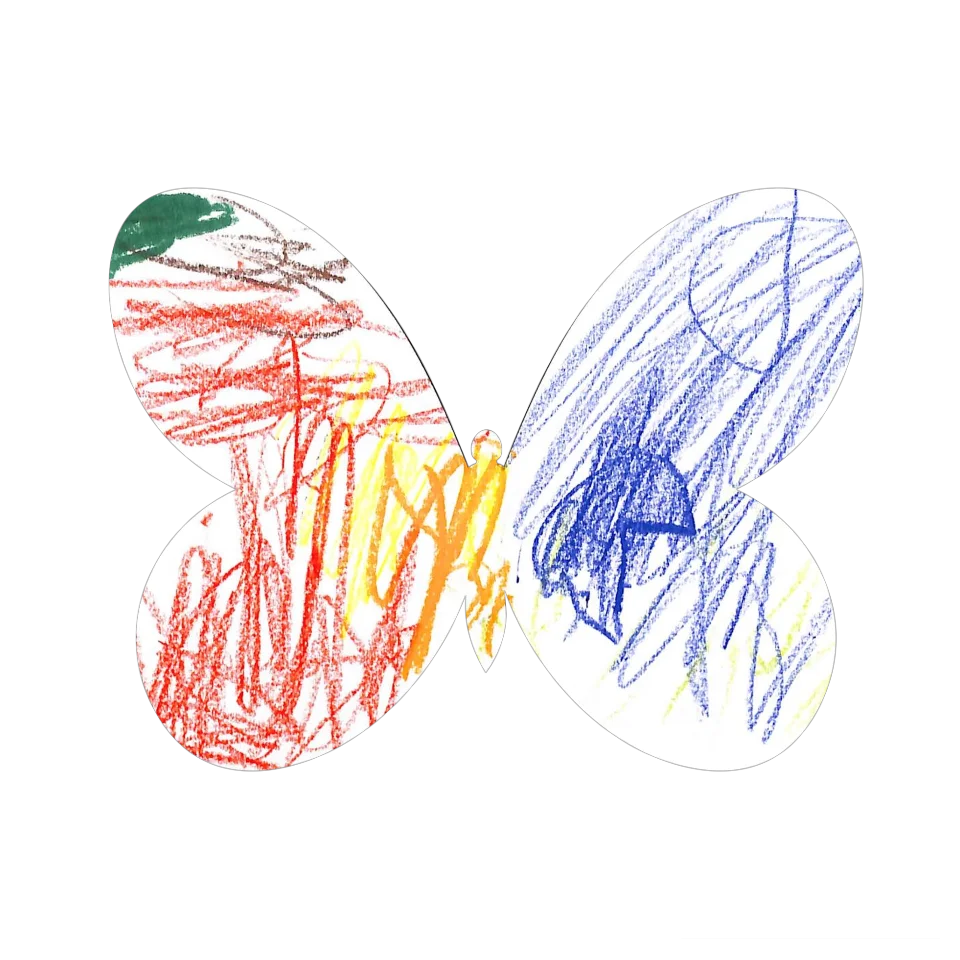 Original Butterfly Image