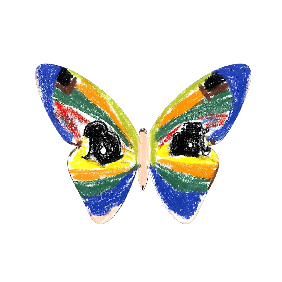 Original Butterfly Image