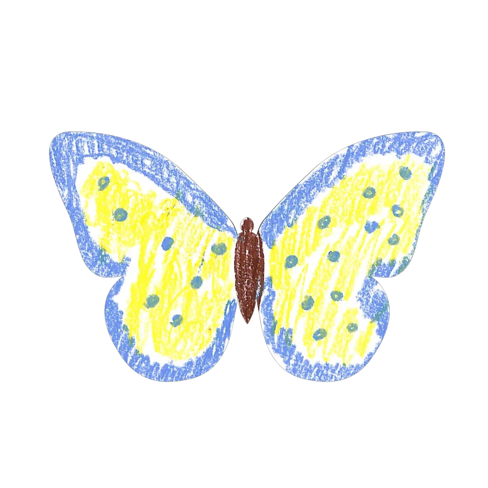 Original Butterfly Image