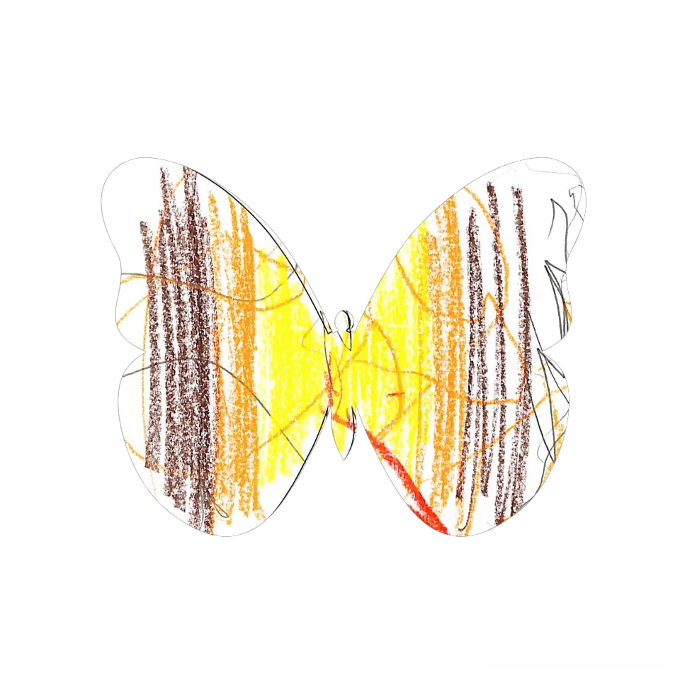 Original Butterfly Image