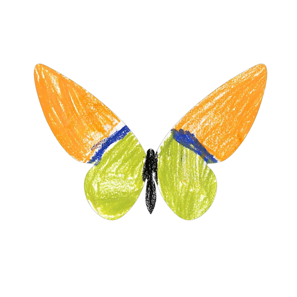 Original Butterfly Image