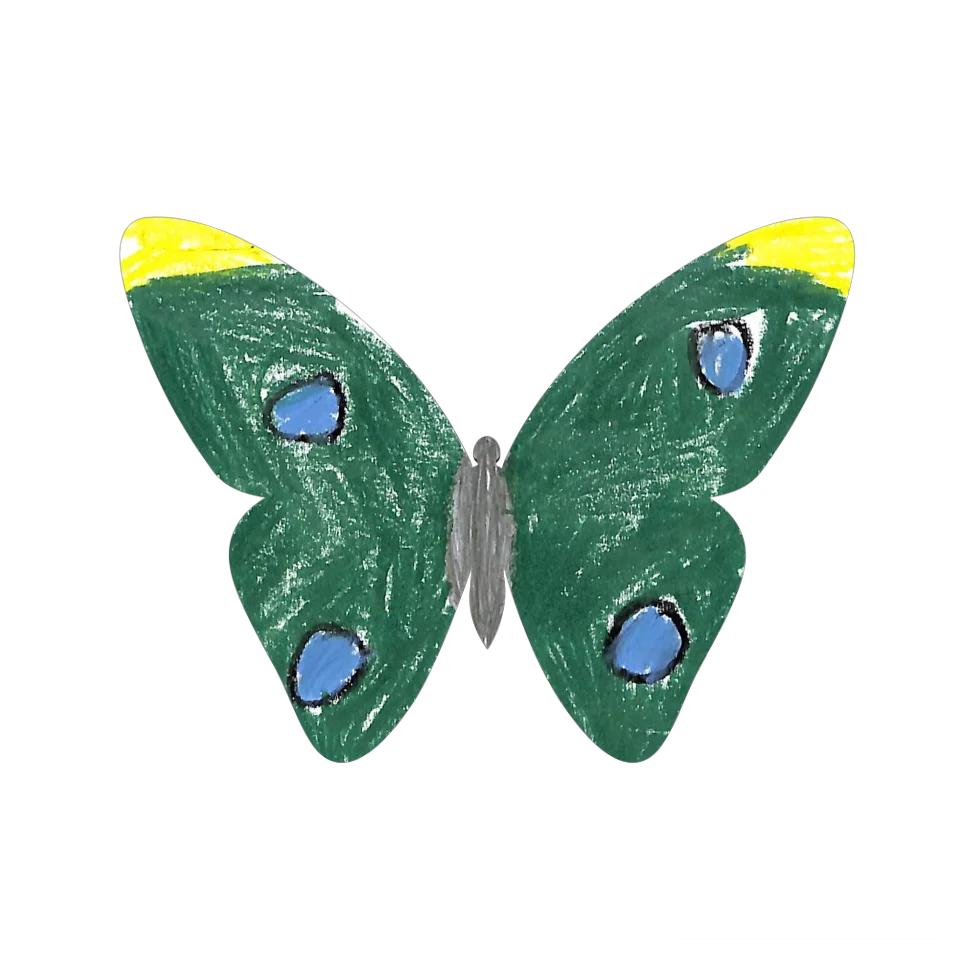 Original Butterfly Image