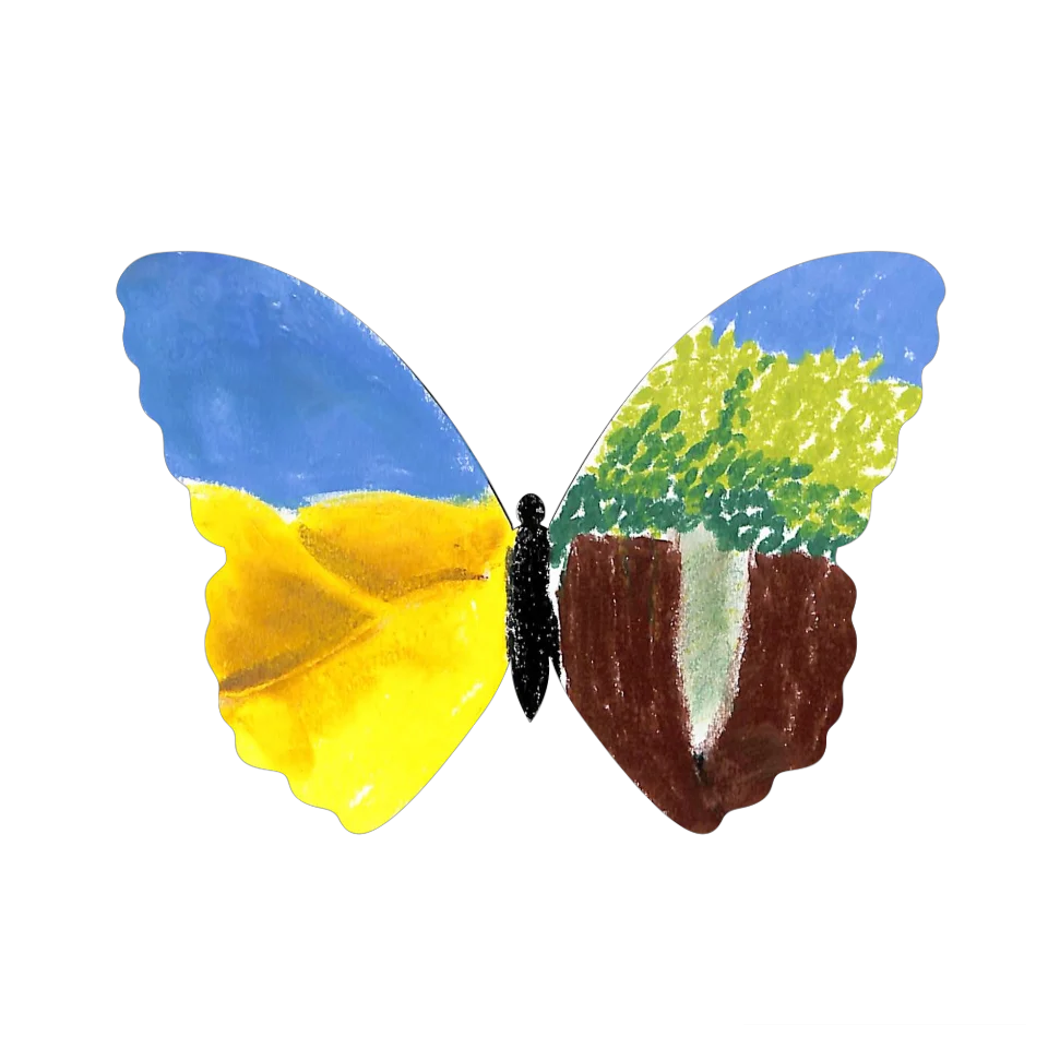 Original Butterfly Image