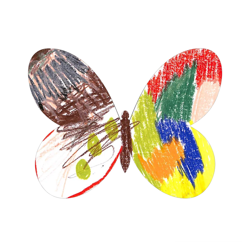 Original Butterfly Image