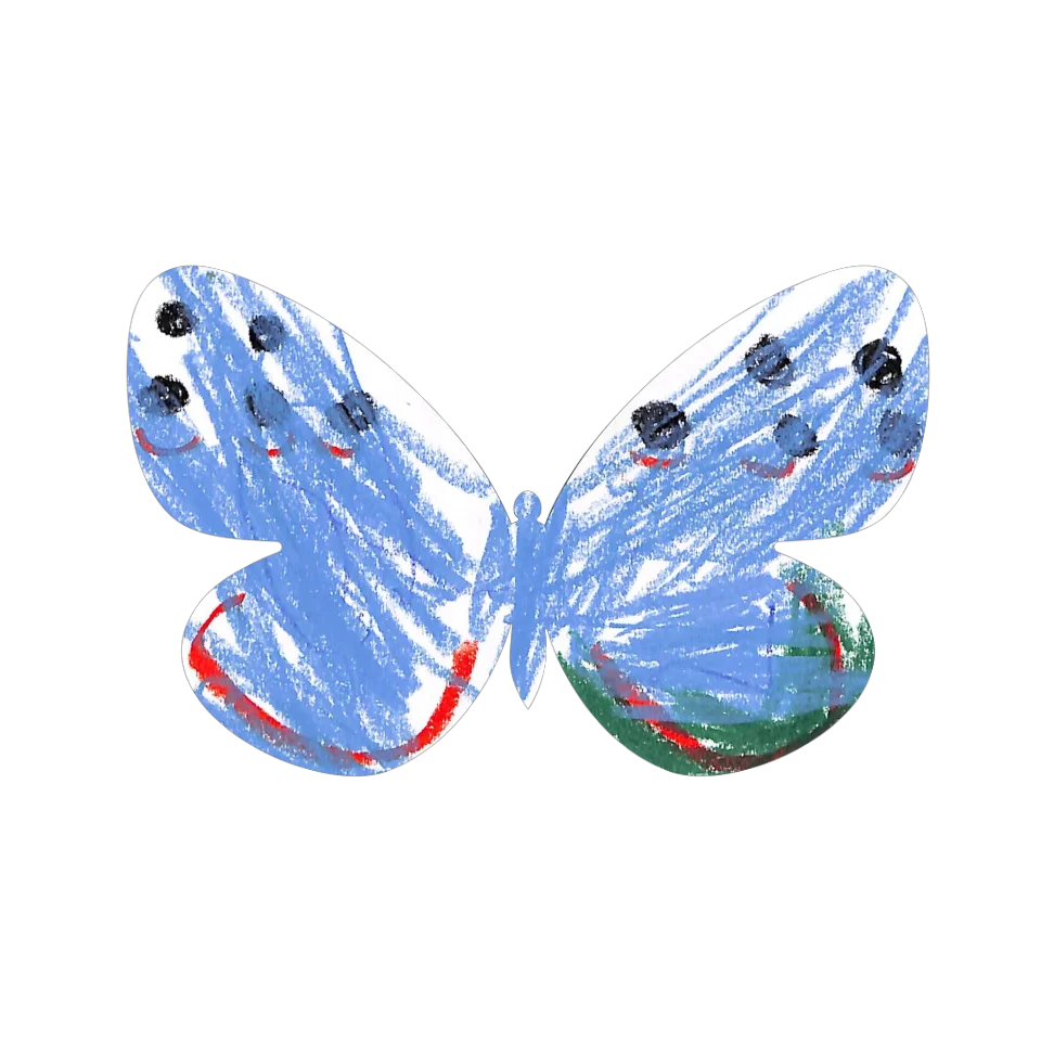 Original Butterfly Image