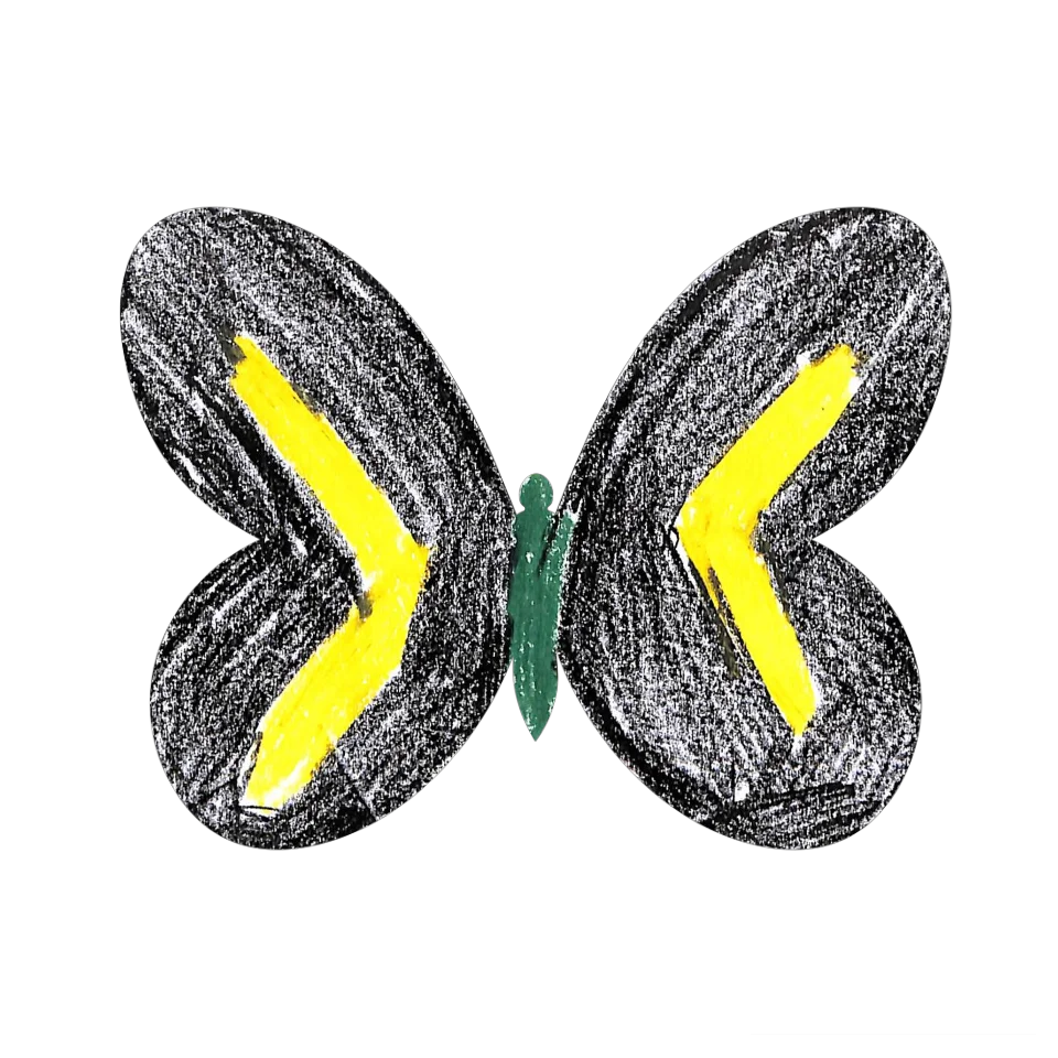 Original Butterfly Image