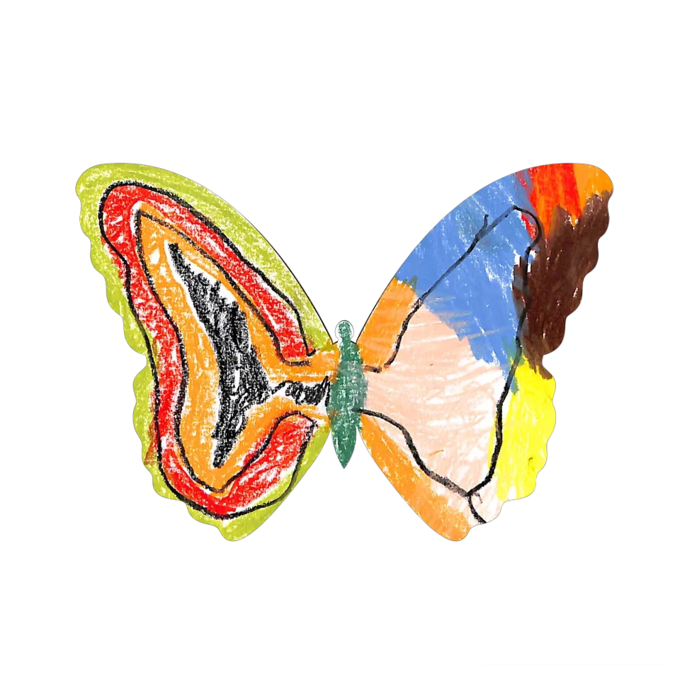 Original Butterfly Image