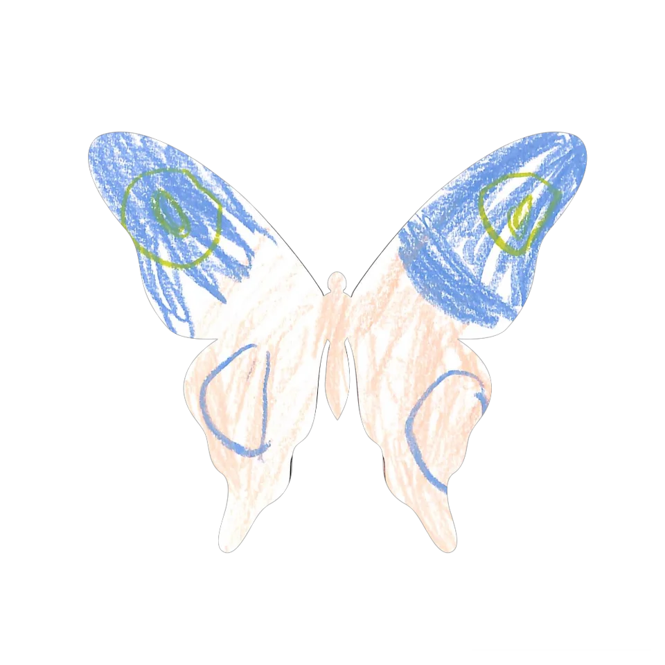Original Butterfly Image