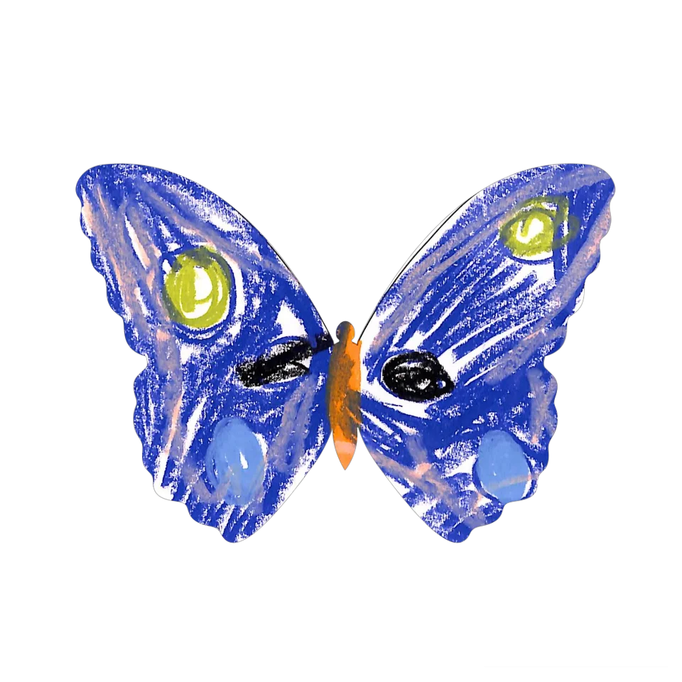 Original Butterfly Image
