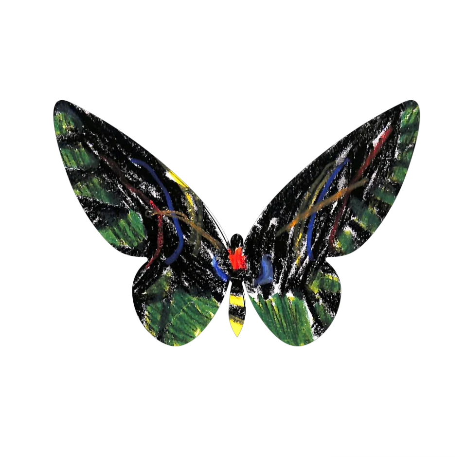 Original Butterfly Image
