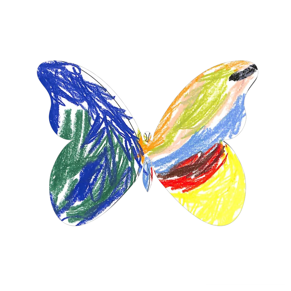 Original Butterfly Image