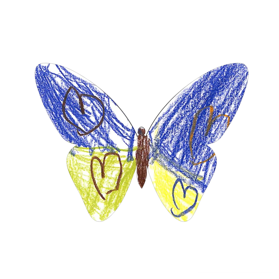 Original Butterfly Image