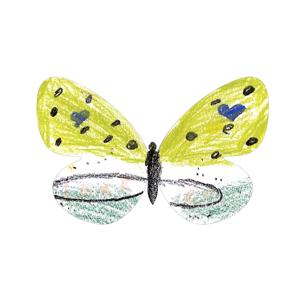 Original Butterfly Image