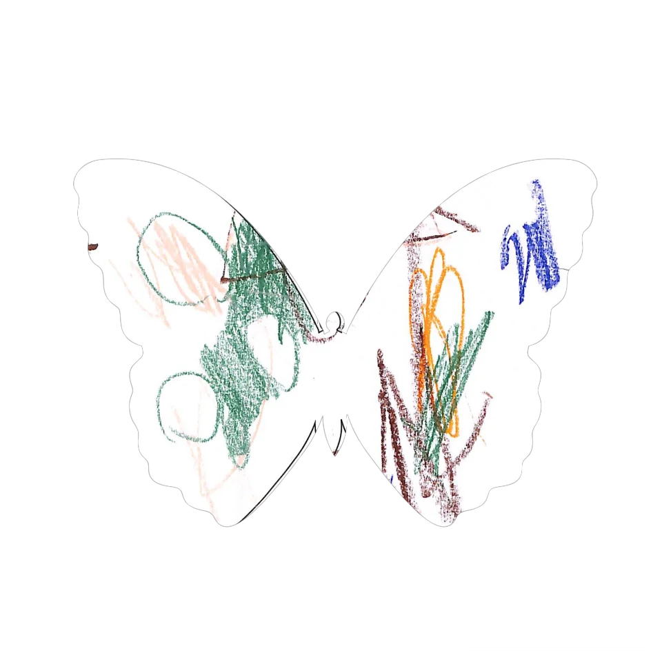 Original Butterfly Image