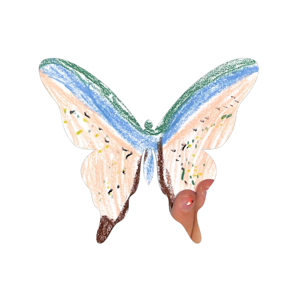 Original Butterfly Image
