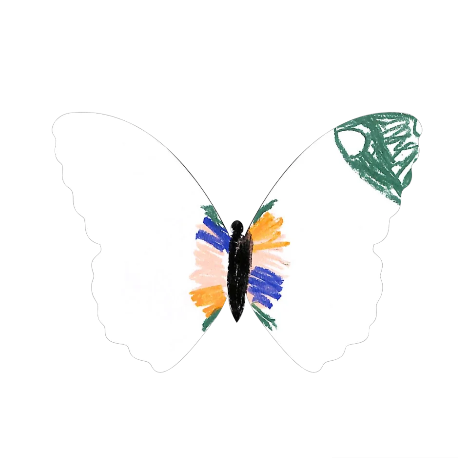 Original Butterfly Image