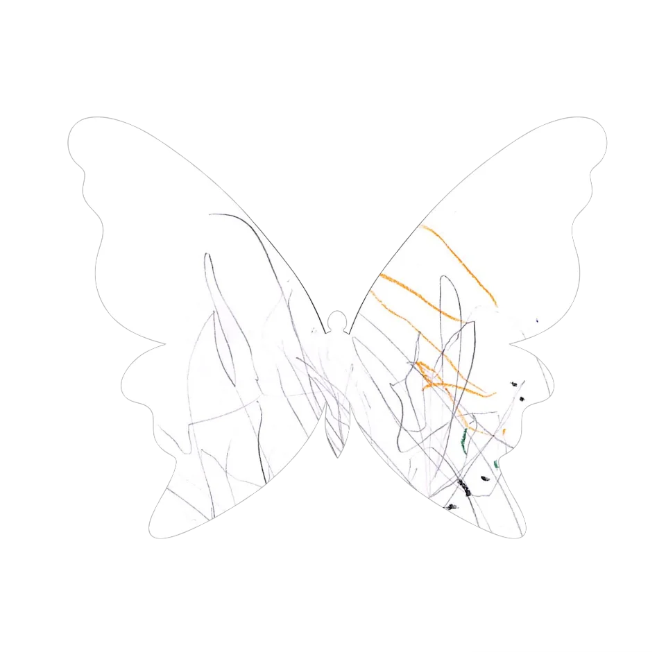 Original Butterfly Image