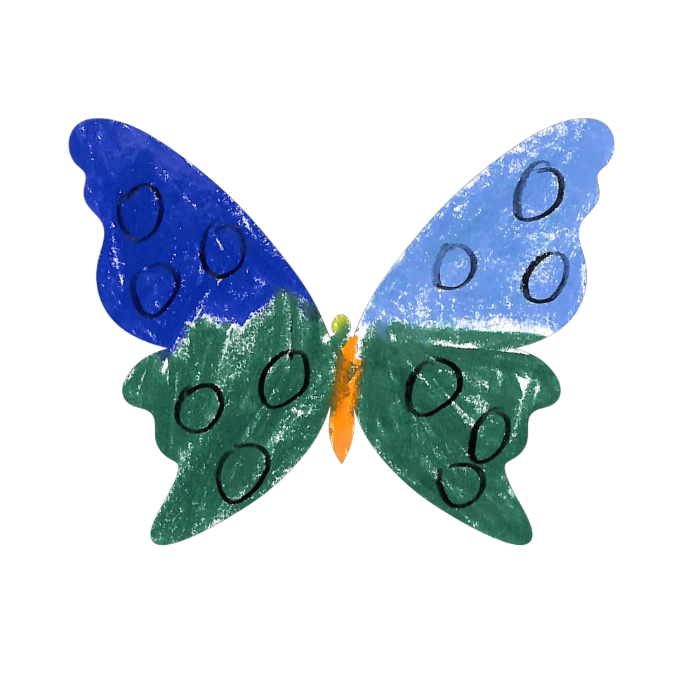 Original Butterfly Image
