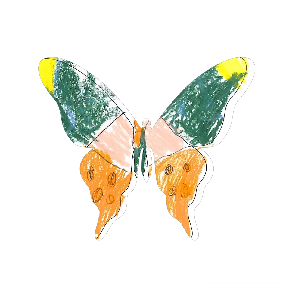 Original Butterfly Image