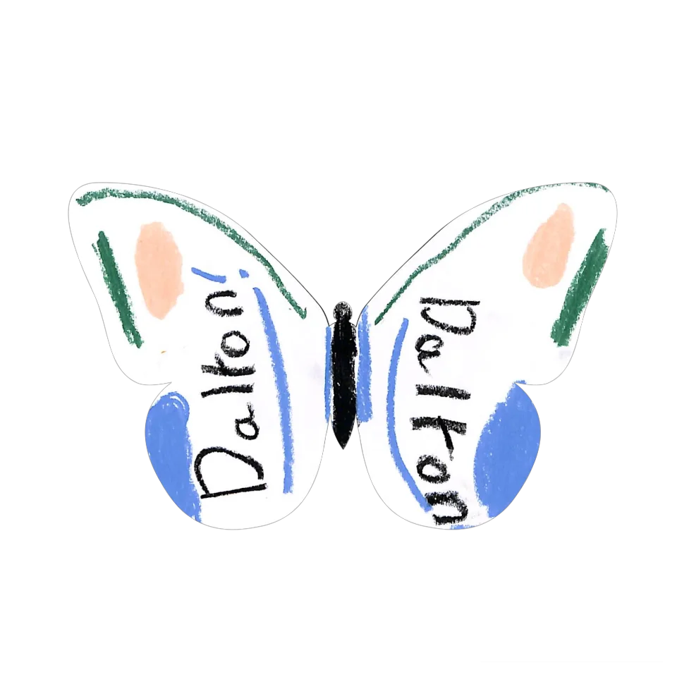 Original Butterfly Image