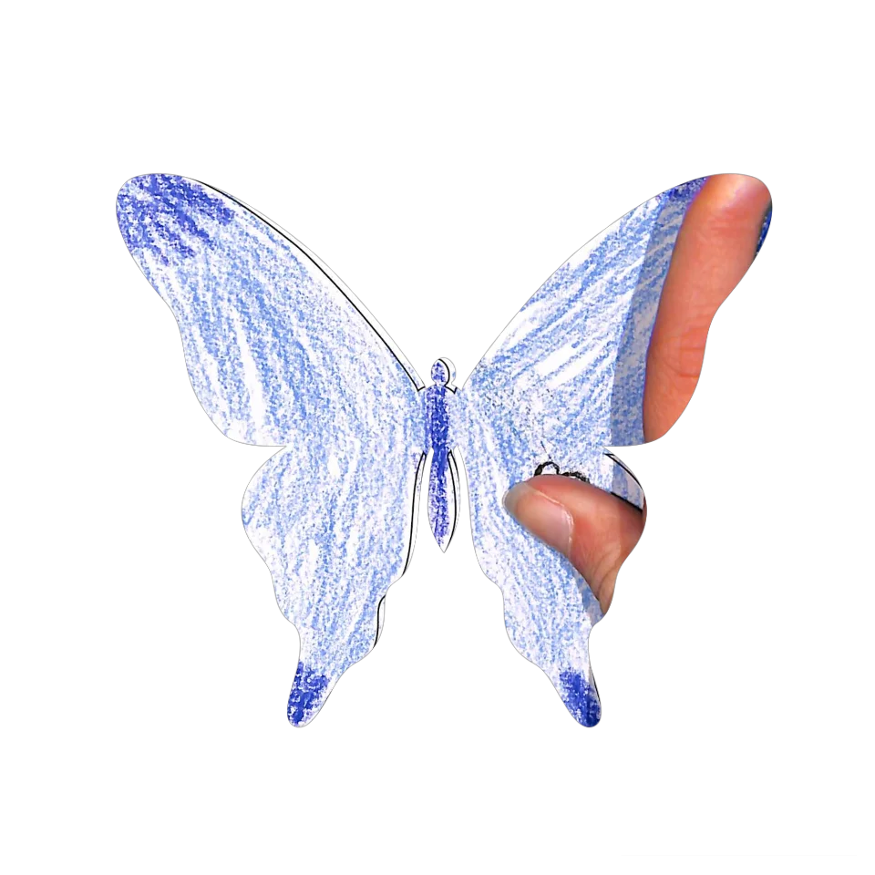 Original Butterfly Image