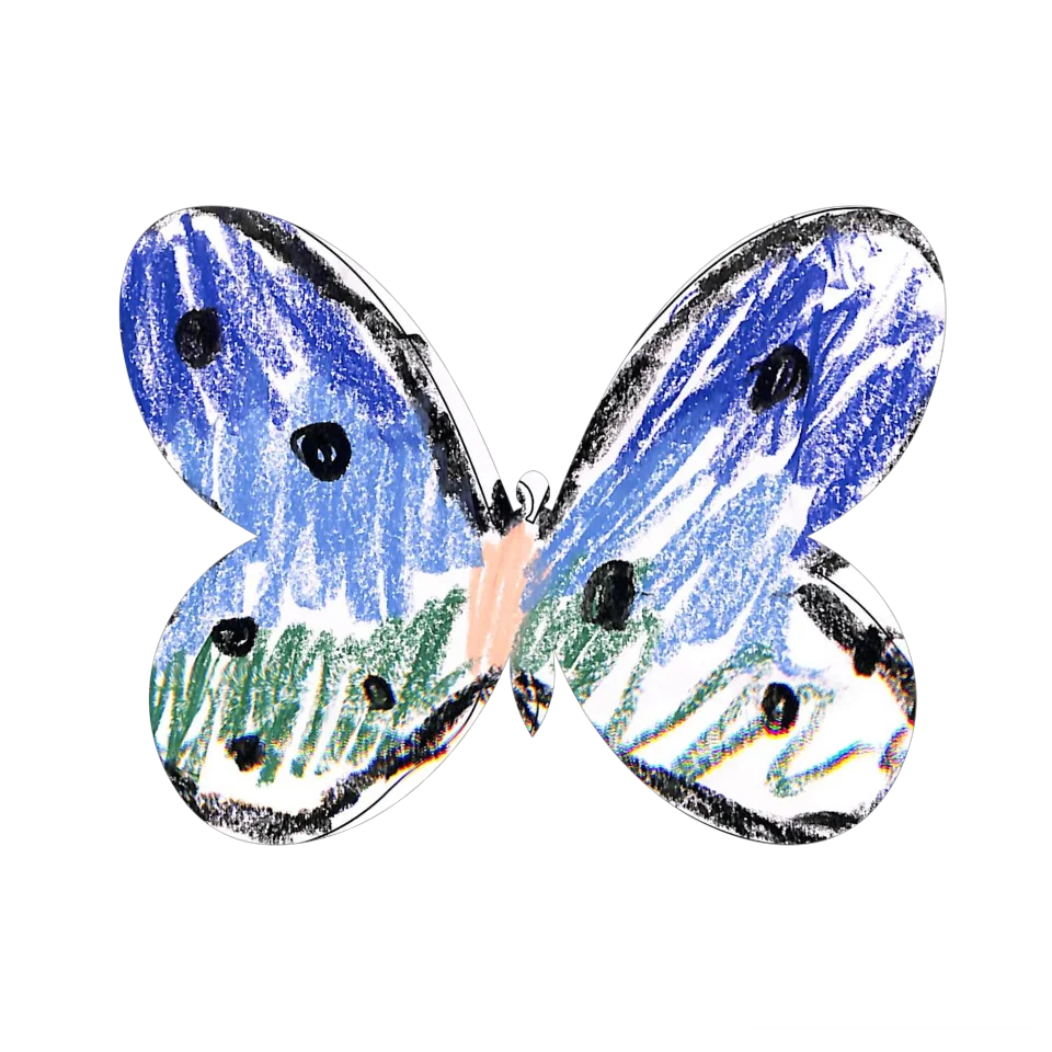 Original Butterfly Image