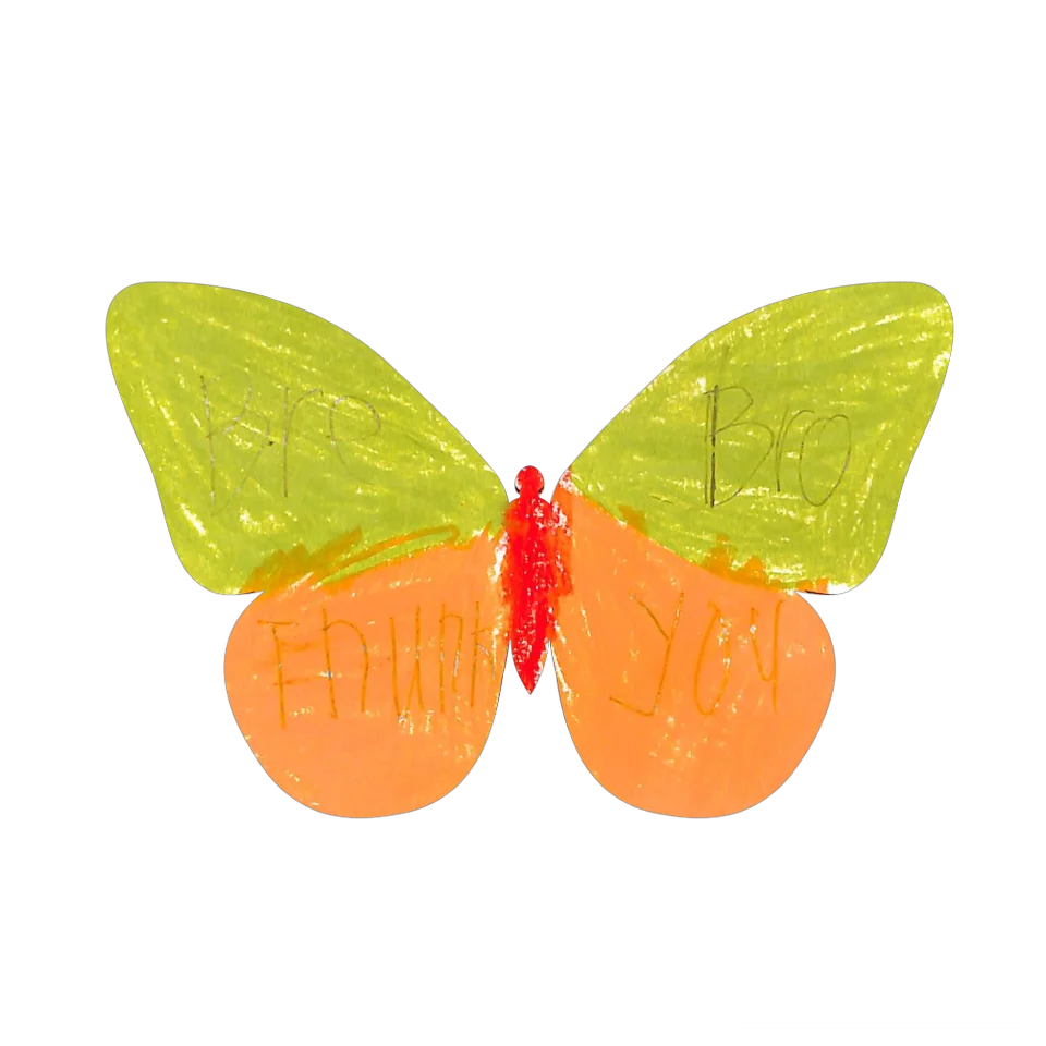 Original Butterfly Image