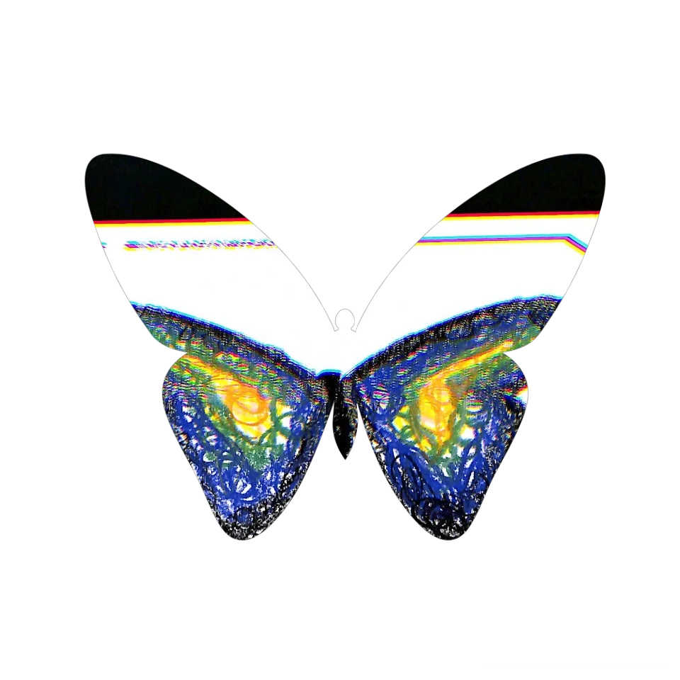 Original Butterfly Image