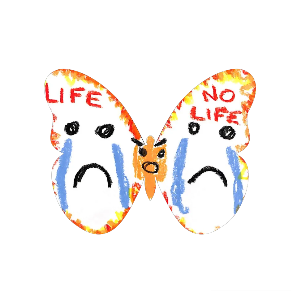 Original Butterfly Image