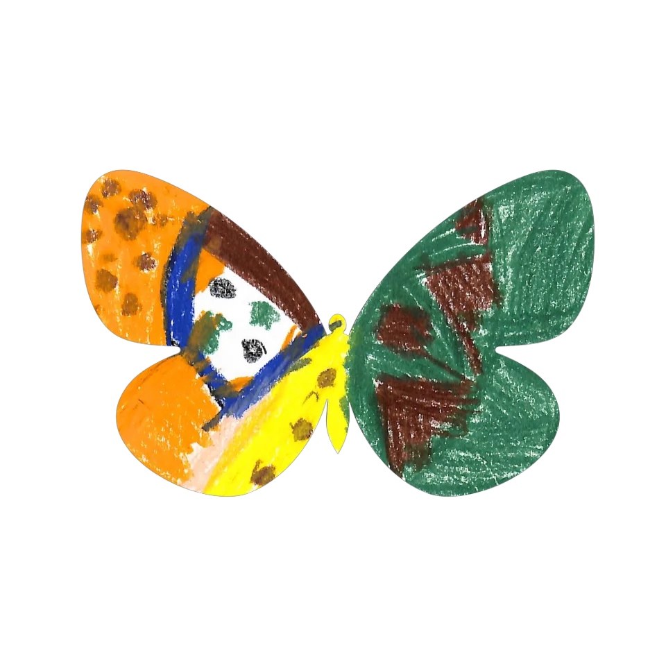 Original Butterfly Image