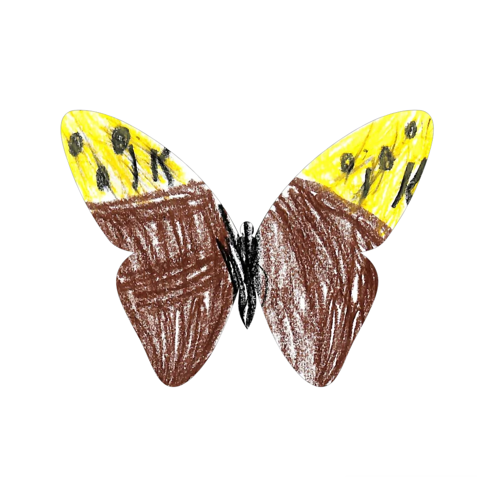 Original Butterfly Image