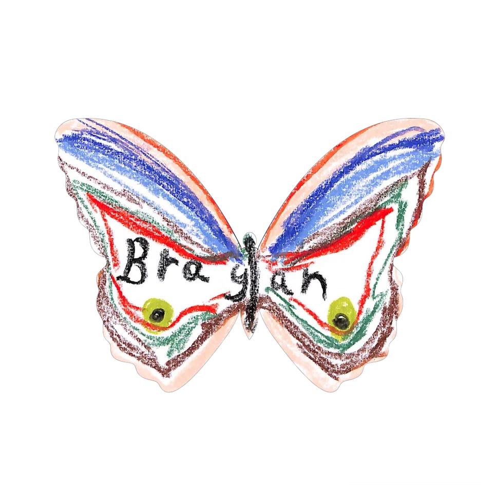 Original Butterfly Image