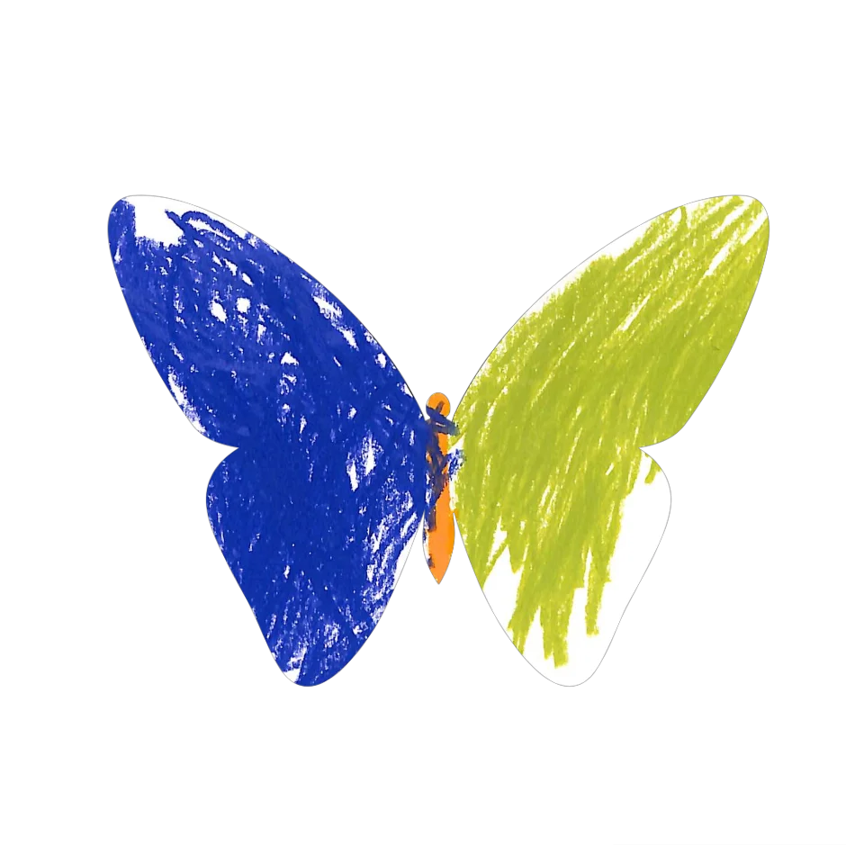 Original Butterfly Image