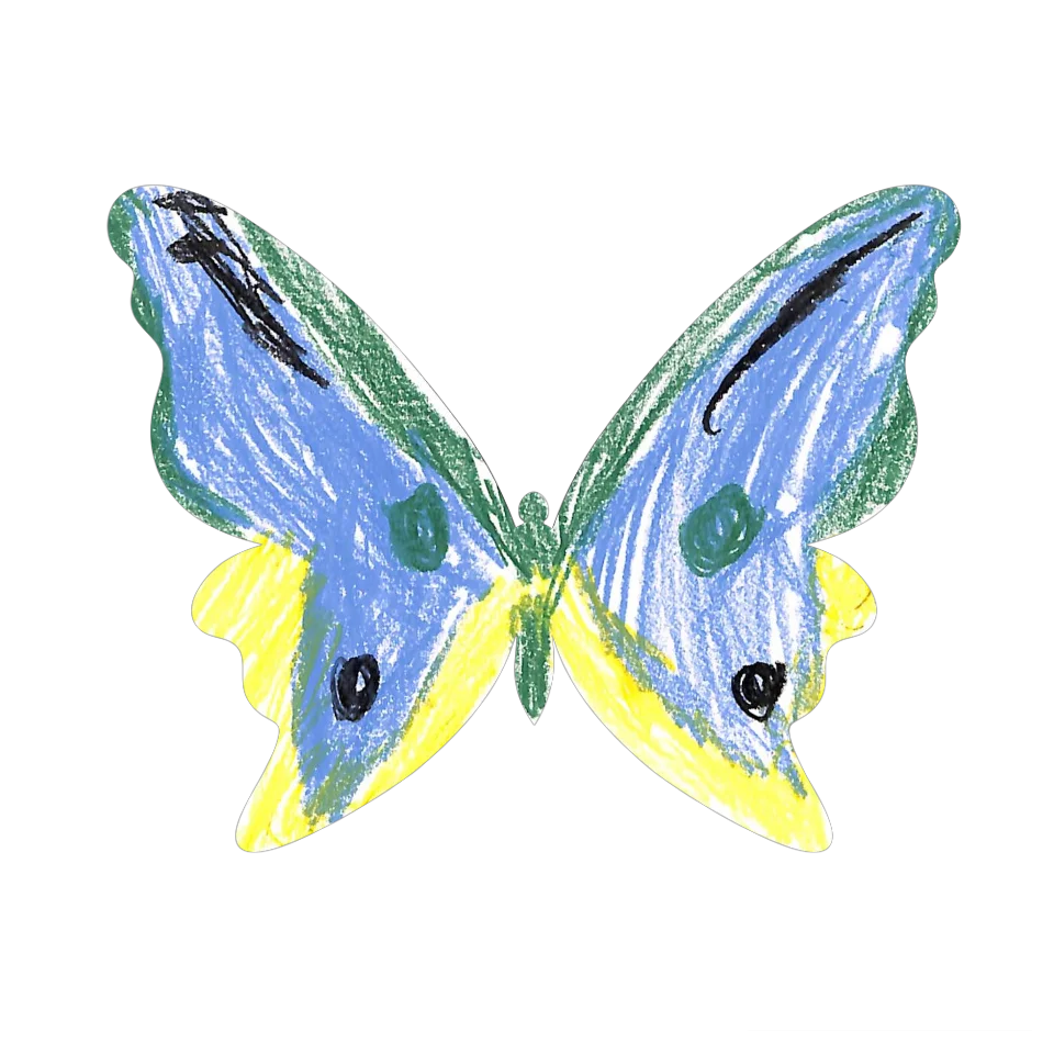 Original Butterfly Image