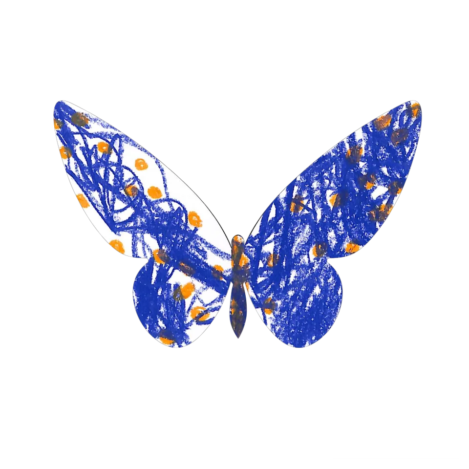 Original Butterfly Image