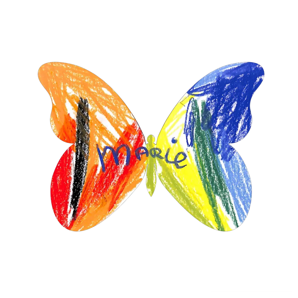 Original Butterfly Image