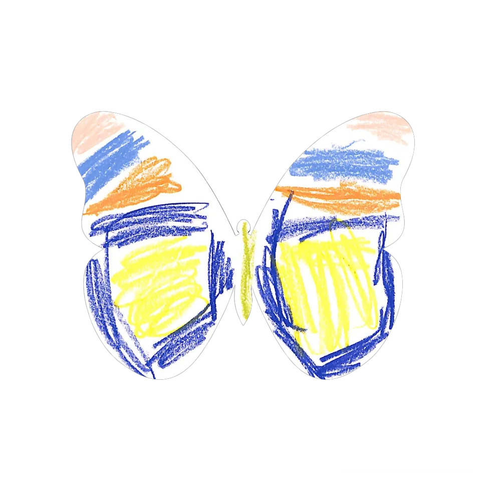 Original Butterfly Image