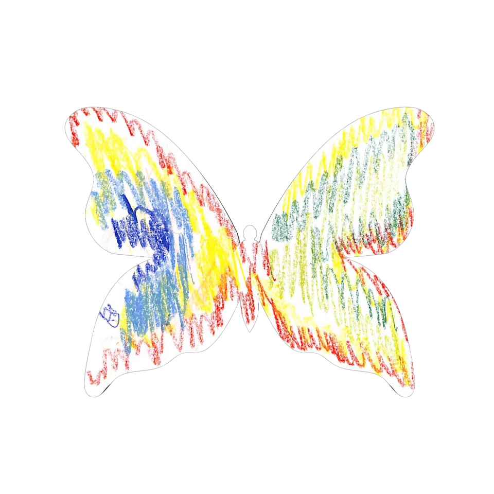 Original Butterfly Image