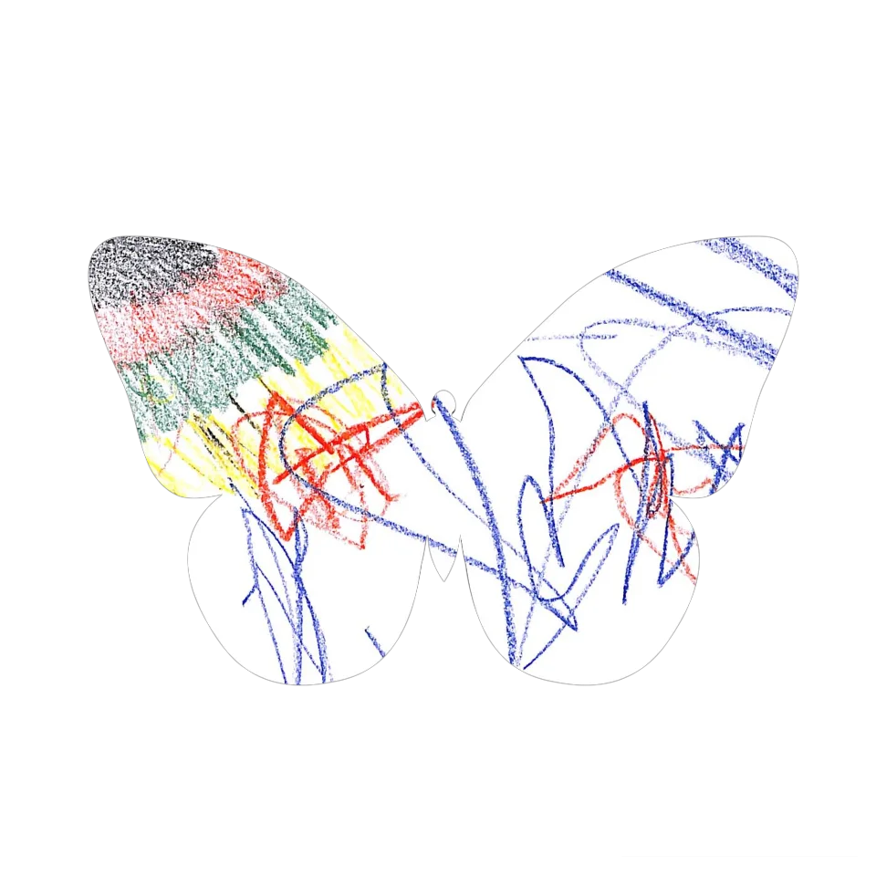 Original Butterfly Image