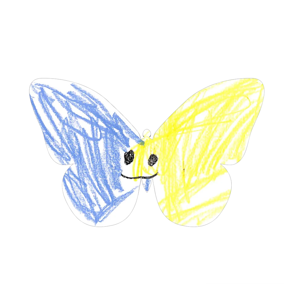 Original Butterfly Image