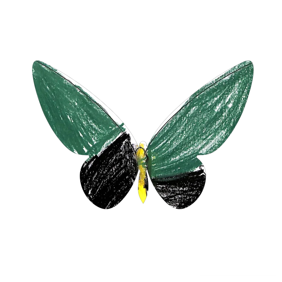 Original Butterfly Image