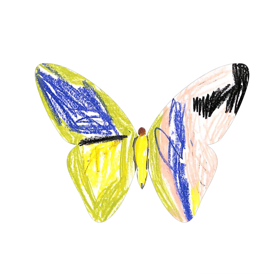 Original Butterfly Image
