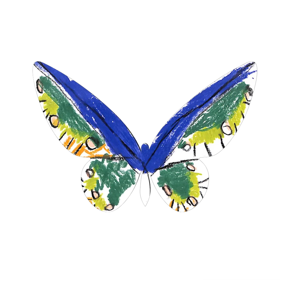 Original Butterfly Image