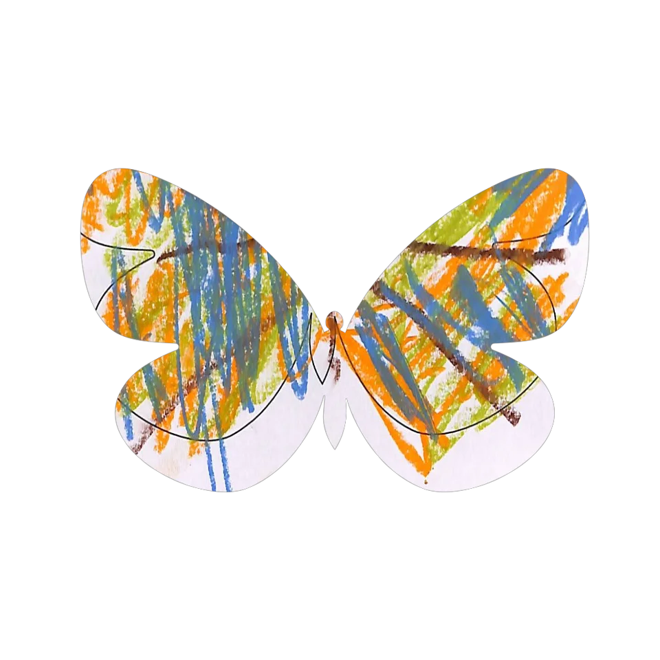 Original Butterfly Image