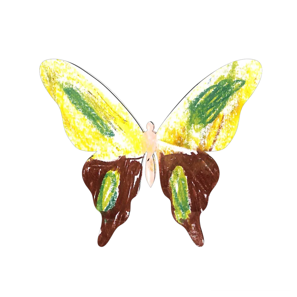 Original Butterfly Image
