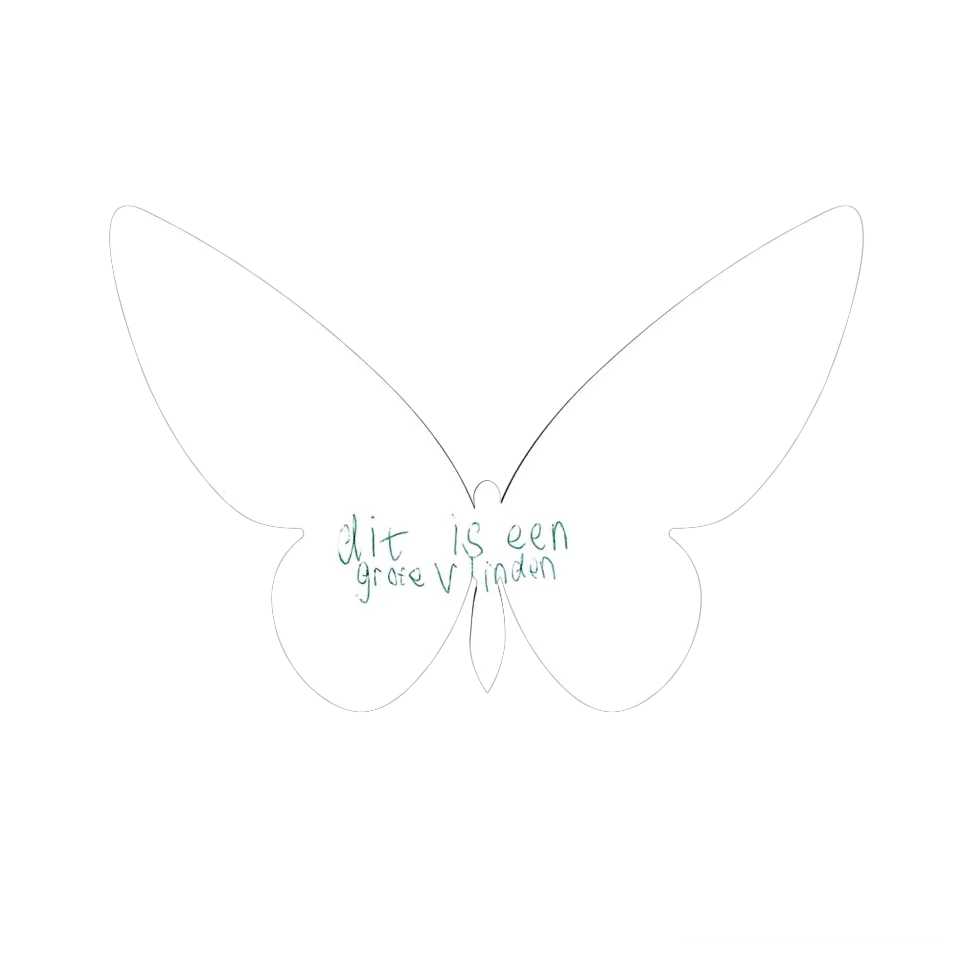 Original Butterfly Image