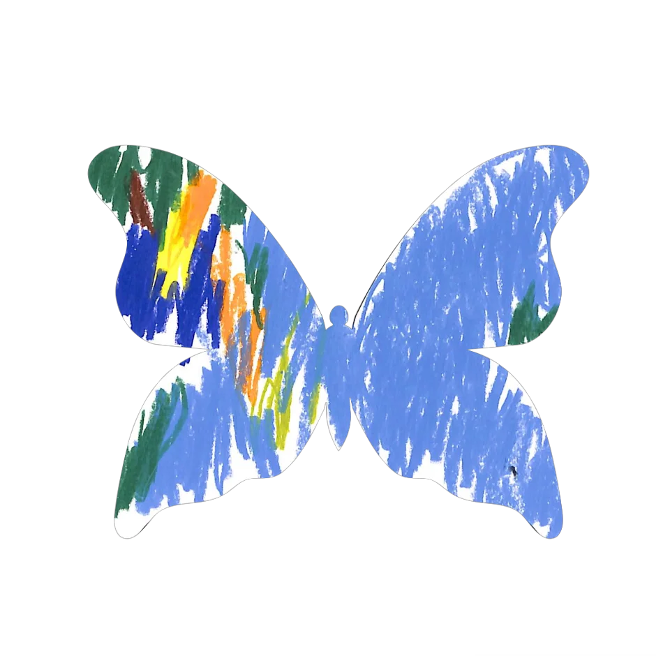 Original Butterfly Image